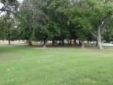 20190723_Park Zrinjevac_sl4~1.jpg